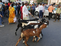 A shepherd leads a herd of goats along a busy street crossing in Kolkata, India, on October 21, 2024. Demand for goat meat in India declines...