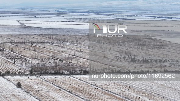 Heavy snow brought by strong cold air falls on the north slope of Tianshan Mountain in Hami, China, on October 20, 2024. 