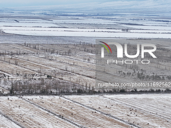 Heavy snow brought by strong cold air falls on the north slope of Tianshan Mountain in Hami, China, on October 20, 2024. (