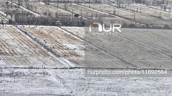 Heavy snow brought by strong cold air falls on the north slope of Tianshan Mountain in Hami, China, on October 20, 2024. 