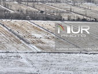 Heavy snow brought by strong cold air falls on the north slope of Tianshan Mountain in Hami, China, on October 20, 2024. (