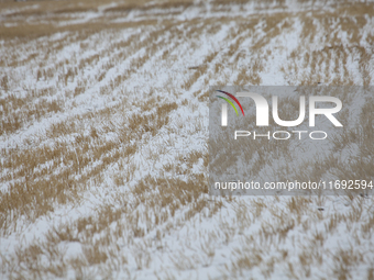 Heavy snow brought by strong cold air falls on the north slope of Tianshan Mountain in Hami, China, on October 20, 2024. (