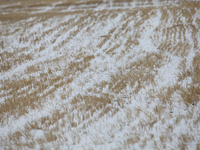 Heavy snow brought by strong cold air falls on the north slope of Tianshan Mountain in Hami, China, on October 20, 2024. (