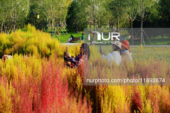 Tourists view flowers at Yimu Yuan Park outside the southwest wall of the Old Summer Palace in Beijing, China, on October 21, 2024. In recen...