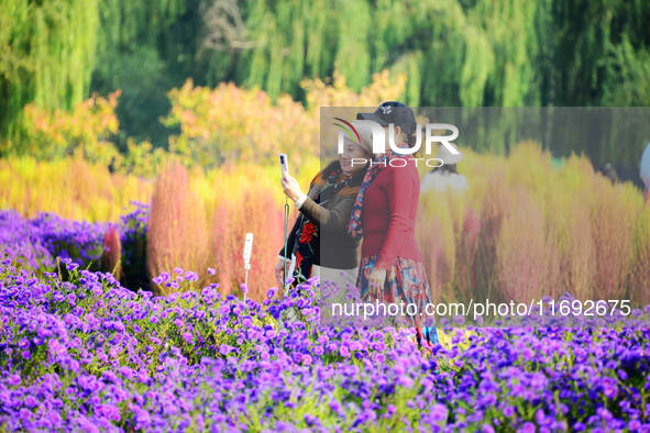 Tourists view flowers at Yimu Yuan Park outside the southwest wall of the Old Summer Palace in Beijing, China, on October 21, 2024. In recen...