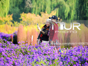 Tourists view flowers at Yimu Yuan Park outside the southwest wall of the Old Summer Palace in Beijing, China, on October 21, 2024. In recen...