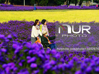 Tourists view flowers at Yimu Yuan Park outside the southwest wall of the Old Summer Palace in Beijing, China, on October 21, 2024. In recen...