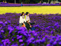 Tourists view flowers at Yimu Yuan Park outside the southwest wall of the Old Summer Palace in Beijing, China, on October 21, 2024. In recen...