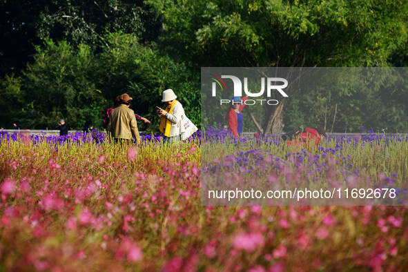 Tourists view flowers at Yimu Yuan Park outside the southwest wall of the Old Summer Palace in Beijing, China, on October 21, 2024. In recen...