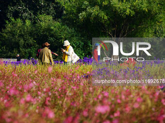 Tourists view flowers at Yimu Yuan Park outside the southwest wall of the Old Summer Palace in Beijing, China, on October 21, 2024. In recen...