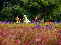 Tourists view flowers at Yimu Yuan Park outside the southwest wall of the Old Summer Palace in Beijing, China, on October 21, 2024. In recen...