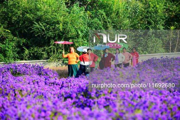 Tourists view flowers at Yimu Yuan Park outside the southwest wall of the Old Summer Palace in Beijing, China, on October 21, 2024. In recen...