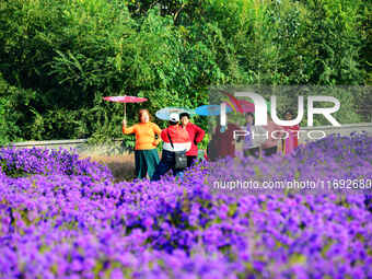 Tourists view flowers at Yimu Yuan Park outside the southwest wall of the Old Summer Palace in Beijing, China, on October 21, 2024. In recen...