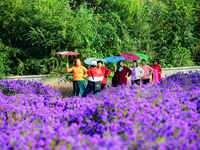 Tourists view flowers at Yimu Yuan Park outside the southwest wall of the Old Summer Palace in Beijing, China, on October 21, 2024. In recen...