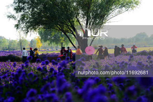 Tourists view flowers at Yimu Yuan Park outside the southwest wall of the Old Summer Palace in Beijing, China, on October 21, 2024. In recen...