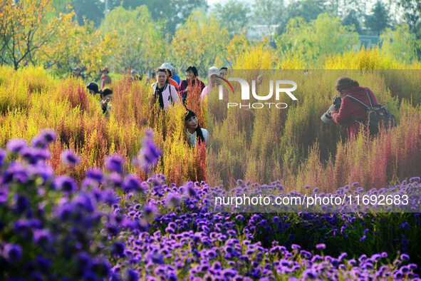 Tourists view flowers at Yimu Yuan Park outside the southwest wall of the Old Summer Palace in Beijing, China, on October 21, 2024. In recen...