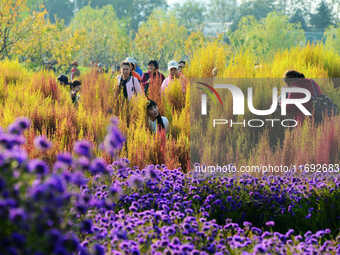 Tourists view flowers at Yimu Yuan Park outside the southwest wall of the Old Summer Palace in Beijing, China, on October 21, 2024. In recen...