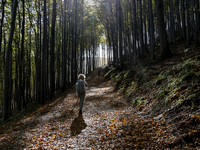 Tourists hike on a mountain path in Moravian-Silesian Beskids mountain range as autumn trees shine with colours in Czech Republic on October...