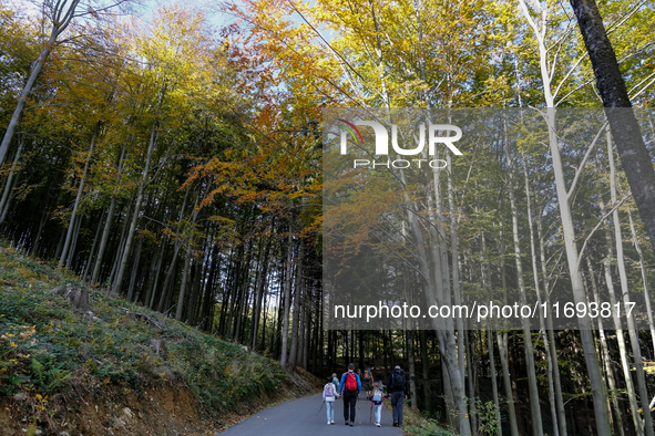 Tourists hike on a mountain path in Moravian-Silesian Beskids mountain range as autumn trees shine with colours in Czech Republic on October...