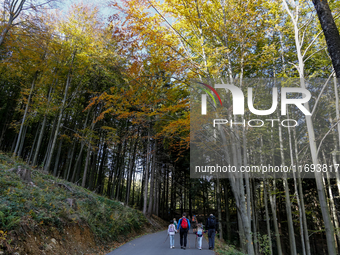 Tourists hike on a mountain path in Moravian-Silesian Beskids mountain range as autumn trees shine with colours in Czech Republic on October...