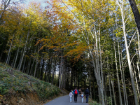 Tourists hike on a mountain path in Moravian-Silesian Beskids mountain range as autumn trees shine with colours in Czech Republic on October...