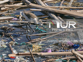 Huge quantities of tubular nets used for mussel farming and buoys employed in the fishing industry invade the sea and the coast around the l...