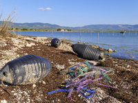 Huge quantities of tubular nets used for mussel farming and buoys employed in the fishing industry invade the sea and the coast around the l...