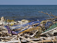 Huge quantities of tubular nets used for mussel farming and buoys employed in the fishing industry invade the sea and the coast around the l...