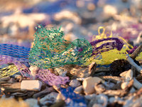 Huge quantities of tubular nets used for mussel farming and buoys employed in the fishing industry invade the sea and the coast around the l...