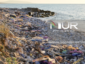 Huge quantities of tubular nets used for mussel farming and buoys employed in the fishing industry invade the sea and the coast around the l...