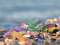 Huge quantities of tubular nets used for mussel farming and buoys employed in the fishing industry invade the sea and the coast around the l...