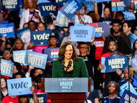 Detroit City Council President Mary Sheffield speaks during a presidential campaign rally for Kamala Harris at The Huntington Place in Detro...