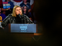 Candidate for U.S. Senator Elissa Slotkin (D-MI) speaks during a presidential campaign rally for Kamala Harris at The Huntington Place in De...