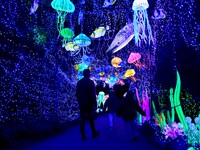 The 4th edition of the Wild Lights Festival at the Peaugres Safari in Ardeche, France, features more than 2,000 light sculptures during the...