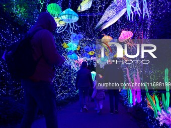 The 4th edition of the Wild Lights Festival at the Peaugres Safari in Ardeche, France, features more than 2,000 light sculptures during the...