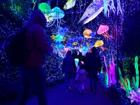 The 4th edition of the Wild Lights Festival at the Peaugres Safari in Ardeche, France, features more than 2,000 light sculptures during the...