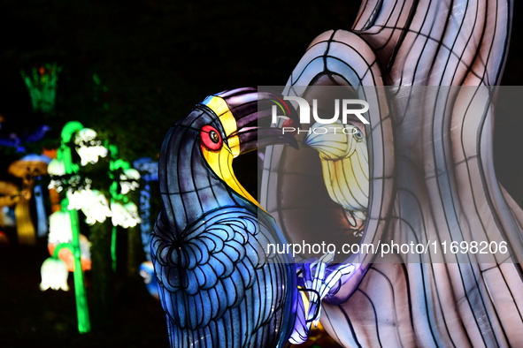 The 4th edition of the Wild Lights Festival at the Peaugres Safari in Ardeche, France, features more than 2,000 light sculptures during the...