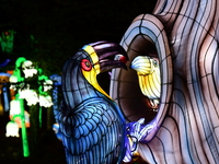 The 4th edition of the Wild Lights Festival at the Peaugres Safari in Ardeche, France, features more than 2,000 light sculptures during the...