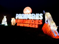 The 4th edition of the Wild Lights Festival at the Peaugres Safari in Ardeche, France, features more than 2,000 light sculptures during the...