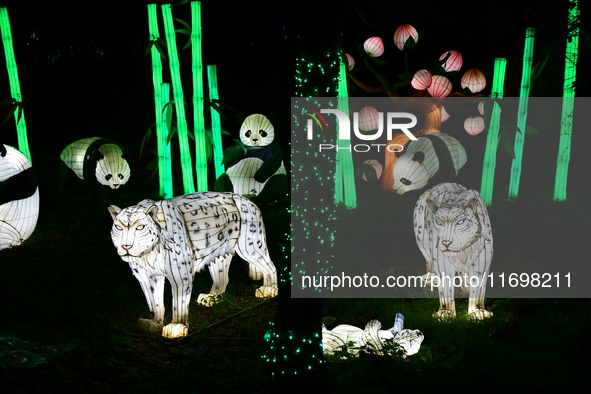 The 4th edition of the Wild Lights Festival at the Peaugres Safari in Ardeche, France, features more than 2,000 light sculptures during the...