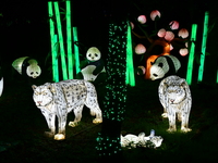 The 4th edition of the Wild Lights Festival at the Peaugres Safari in Ardeche, France, features more than 2,000 light sculptures during the...