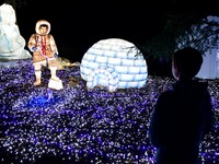 The 4th edition of the Wild Lights Festival at the Peaugres Safari in Ardeche, France, features more than 2,000 light sculptures during the...