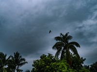 yclone Dana Approaches The Eastern Coasts Of India And Is Expected To Make Landfall On Odisha And West Bengal Coasts Between Puri And Sagar...