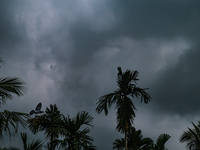 yclone Dana Approaches The Eastern Coasts Of India And Is Expected To Make Landfall On Odisha And West Bengal Coasts Between Puri And Sagar...