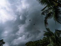 yclone Dana Approaches The Eastern Coasts Of India And Is Expected To Make Landfall On Odisha And West Bengal Coasts Between Puri And Sagar...