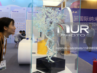 Visitors attend the 14th China International Nanotechnology Industry Expo in Suzhou, China, on October 23, 2024. (