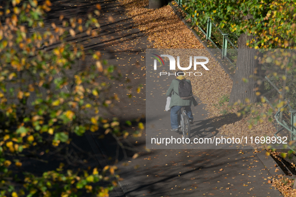 A man rides a bicycle past the fallen leaves in Cologne, Germany, on October 23, 2024. 