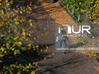 A man rides a bicycle past the fallen leaves in Cologne, Germany, on October 23, 2024. (