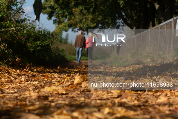 An old couple walks past the fallen leaves in Cologne, Germany, on October 23, 2024. 