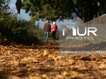 An old couple walks past the fallen leaves in Cologne, Germany, on October 23, 2024. (